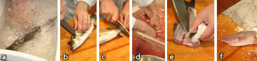 Fish 6 “CO2”: a) ice water and gas with CO2; b) cut spine and vessels at head; c) cut spine and vessels at tail; d) bleed in ice water; e) fillet immediately; f) finished fillet